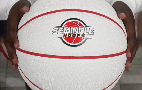 Official Game Ball – White