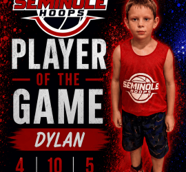 Dyl